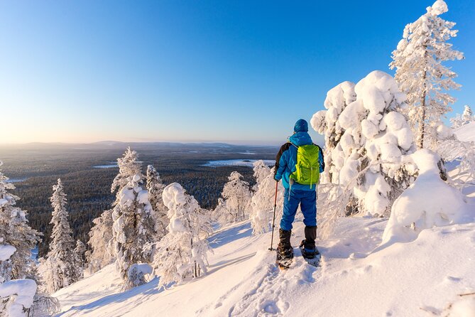 Lapland Winter Experience - Traditional Sausage and Tea