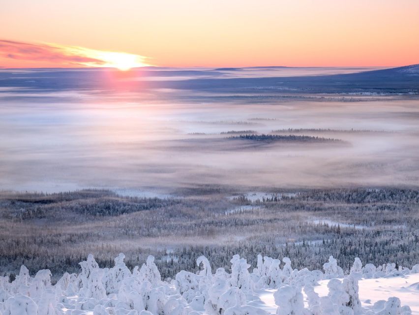 Levi: 4 Hour Snowmobile Safari to the Fells in Levi - Alcohol and Drug Policy