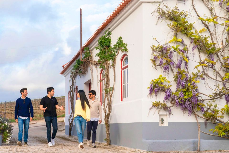 Lisbon: Winery Experience With 4WD Tour and Wine Tasting - Suitability