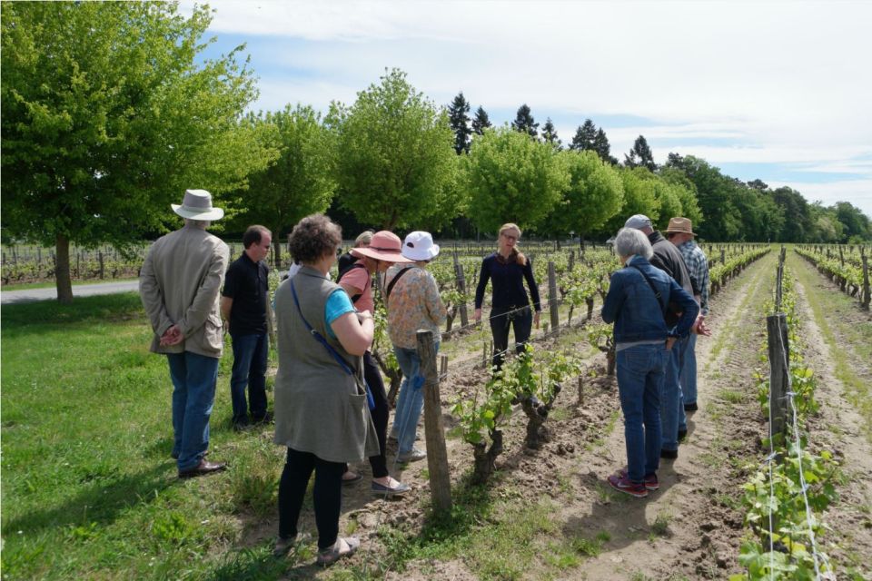 Loire Valley Tour & Wine Tasting in Vouvray, Chinon, Bourgueil - Scenic Views of Loire Valley