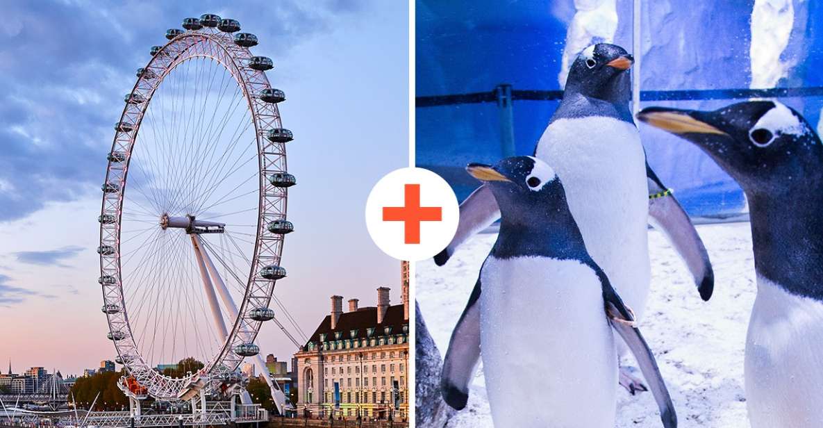 London: SEA LIFE & London Eye Combo Ticket - The London Eye