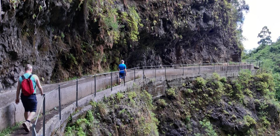 Madeira: Private Levada Fajaˆ Dos Rodrigues Walk - Recap