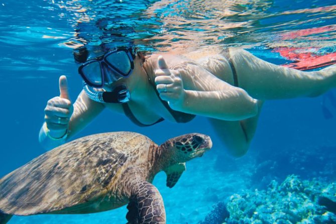 Makena Turtle Town Eco Adventure in Maui - Memorable Moments and Highlights