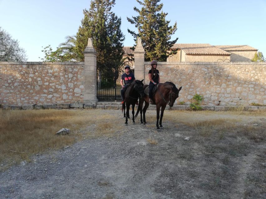 Mallorca: Guided Horseriding Tour of Randa Valley - Meeting at Mallorca Horses