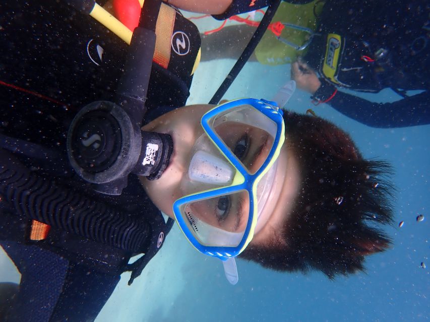 Mallorca: Try Out Scuba Diving in a Marine Nature Reserve - Transport and Photography Included