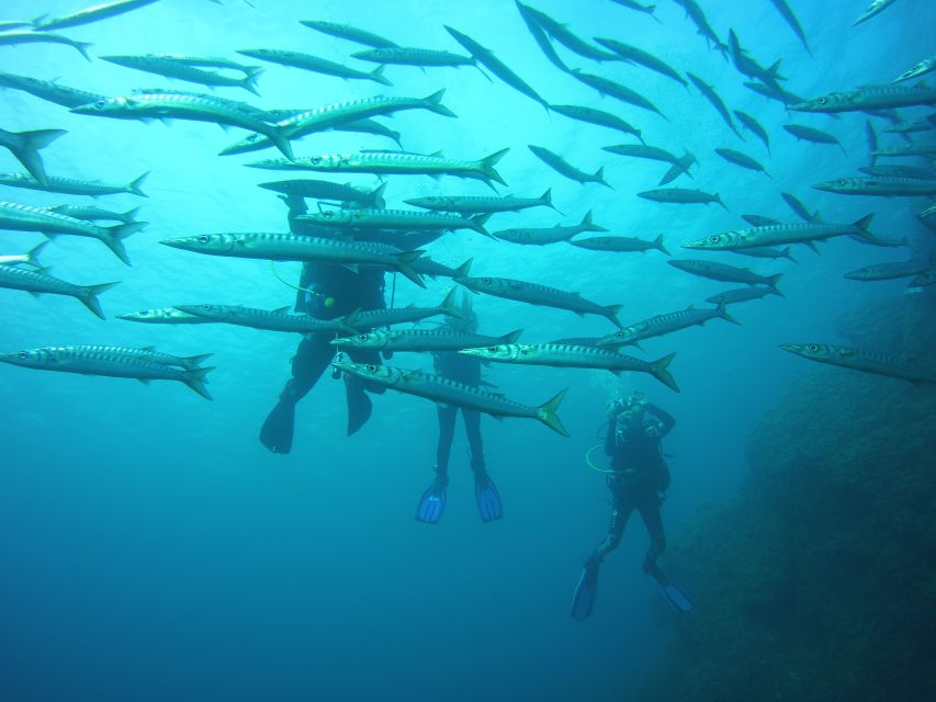 Menorca: Baptism Scuba Diving in Marine Reserve - Pricing and Booking Details