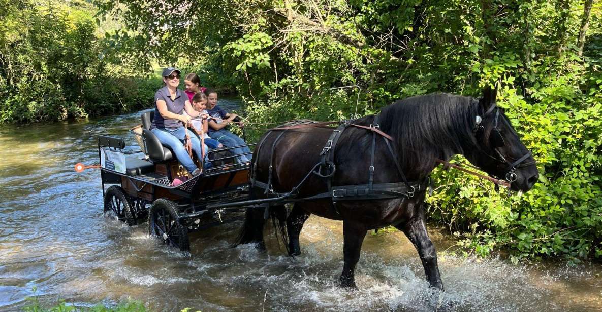 Mentheville: Horse-Drawn Carriage Ride in the Countryside - Recap