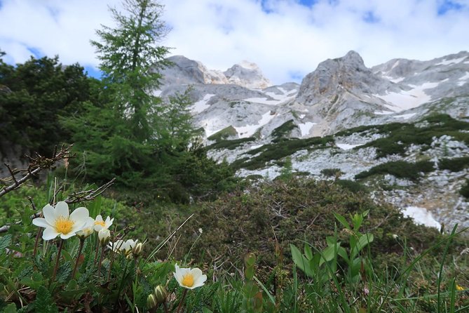 Mighty Mount Triglav Climb-summer Special-join Group - Fitness Level Required