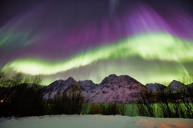 Minivan Northern Lights Excursion (8 Guests per Minivan) - Capturing the Northern Lights