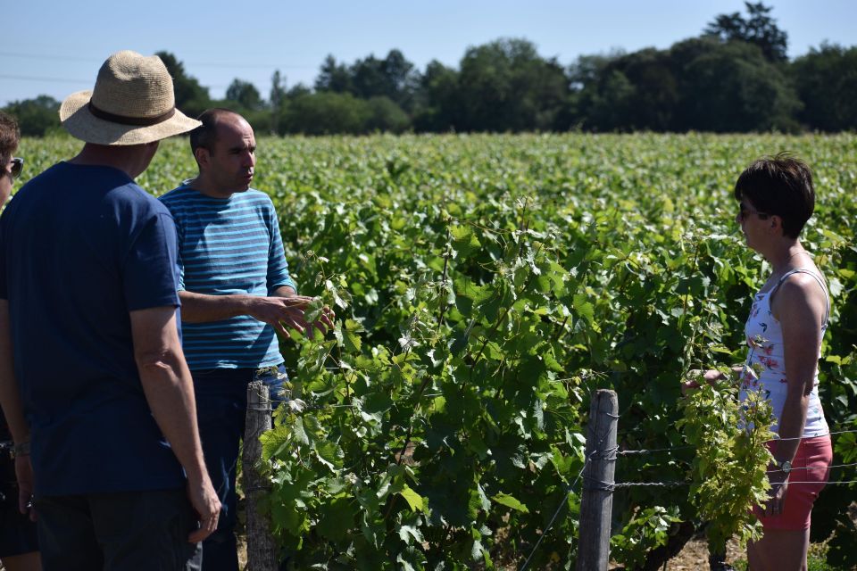 Morning - Loire Valley Wine Tour in Vouvray and Montlouis - Winery Tour and Extensive Tasting