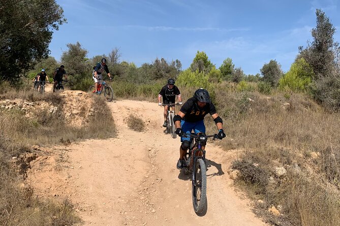 Mountain Bike Tour Font De La Mata - Reservation and Cancellation