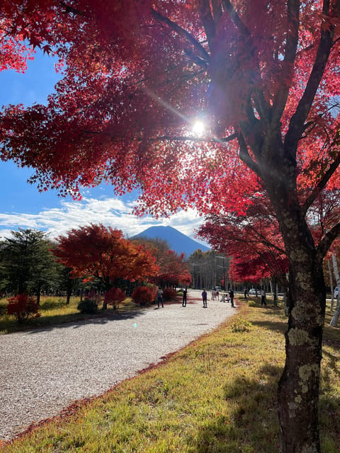 Mt. Fuji/ Tour Delivered and Guided by a Top-Tier Driver - Learning About Japanese Religious Practices