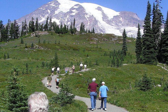 Mt. Rainier Day Tour From Seattle - Complimentary Pickup Locations