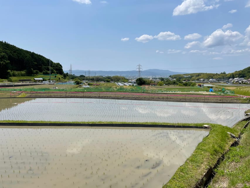 Nara: Discover Countryside Tour Review - Meeting Point and Transportation