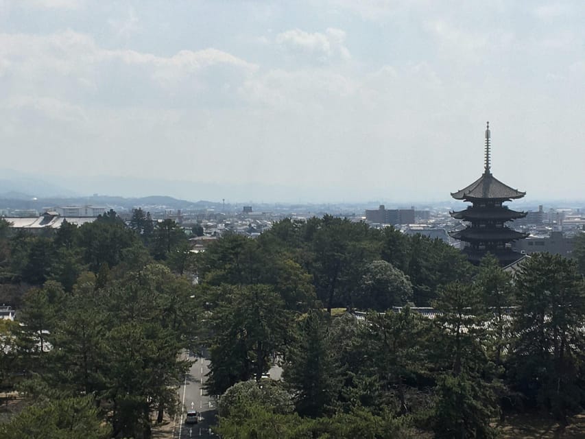 Nara: Half-Day Private Guided Tour - Pickup Options