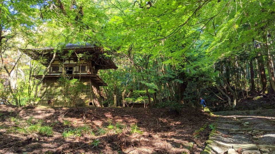 Nara: Heart of Nature Temple, Forest, & Waterfall Bike Tour - Exploring Naras Nature