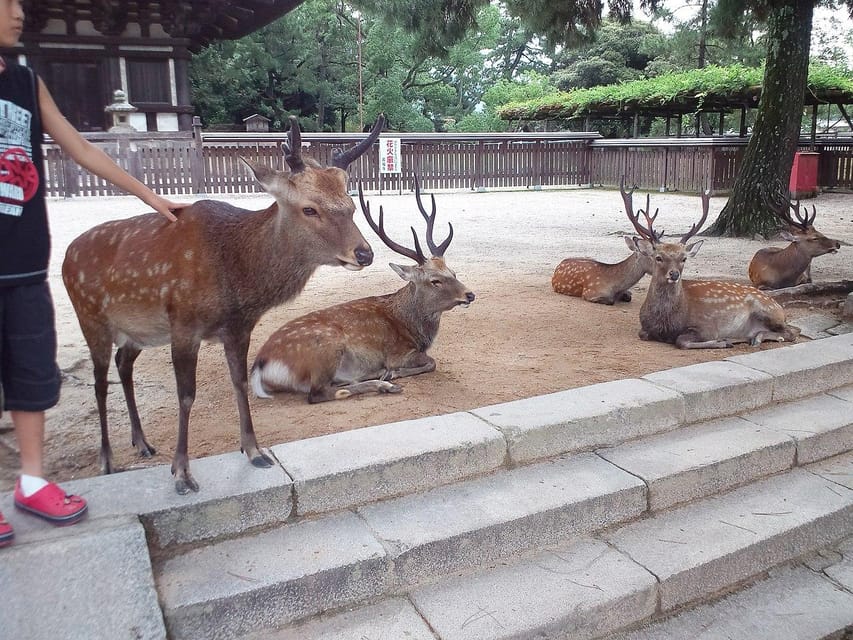 Nara Imaginary Experience - Wheelchair Accessibility