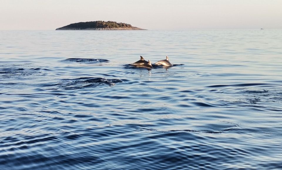 National Park Kornati - Restrictions and Limitations