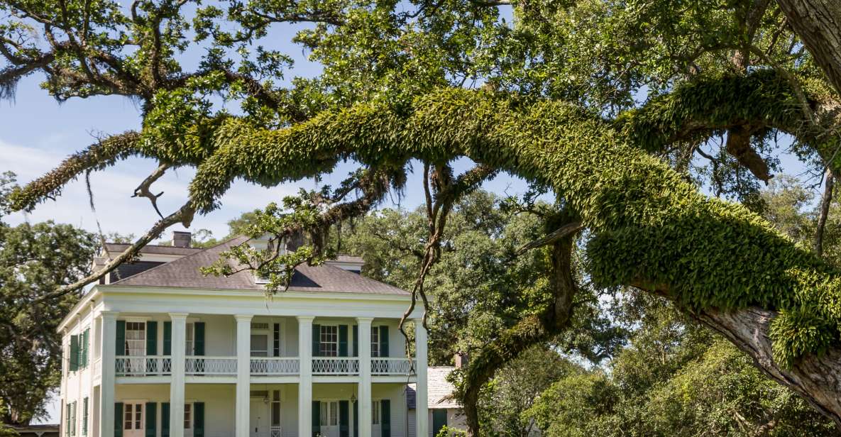 New Orleans: Felicity Plantation Guided Tour - Customer Feedback