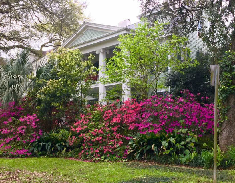 New Orleans: Traditional City and Estate Tour - Discovering Historic Mansions