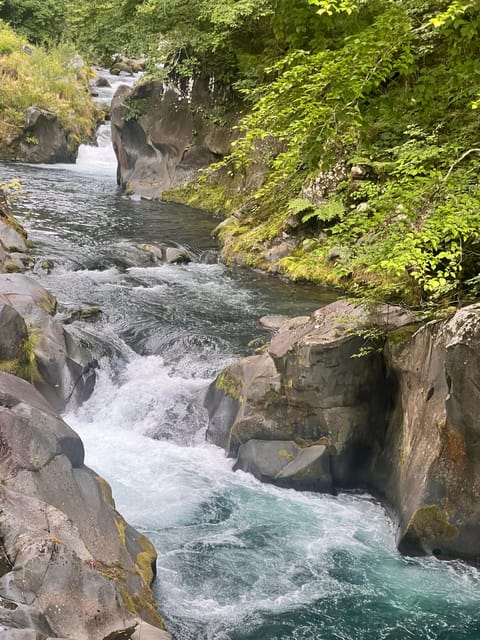 Nikko: Private Guided Tour by Car With English Guide - Toshogu Shrine