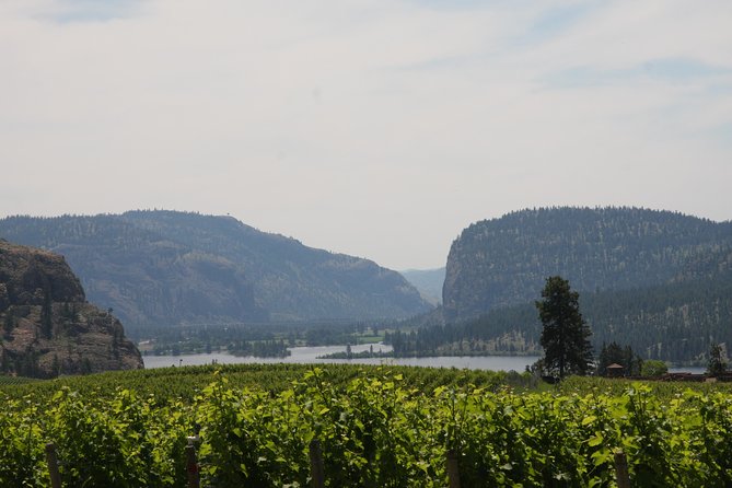 Okanagan Falls Private Wine Tour - Full Day - Pricing and Inclusions