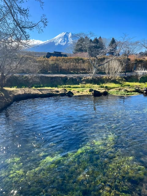 Oshino Hakkai, Ole Hot Spring in Mount Fuji One Day Tour - Meeting Point and Age Restrictions