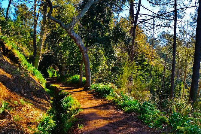 Paradise Valley - Levada Walk - Guided Tour