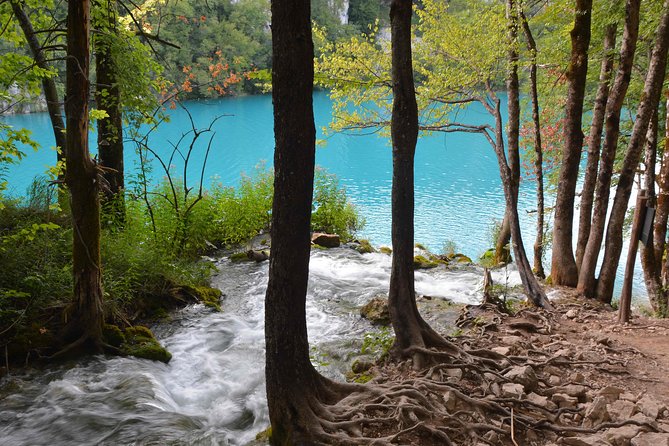 Plitvice Lakes National Park Tour From Zadar - Visitor Tips