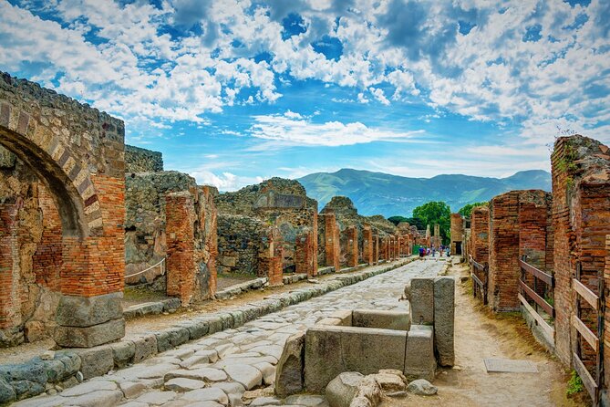 Pompeii, Herculaneum and Wine Tasting From Naples - Accessibility