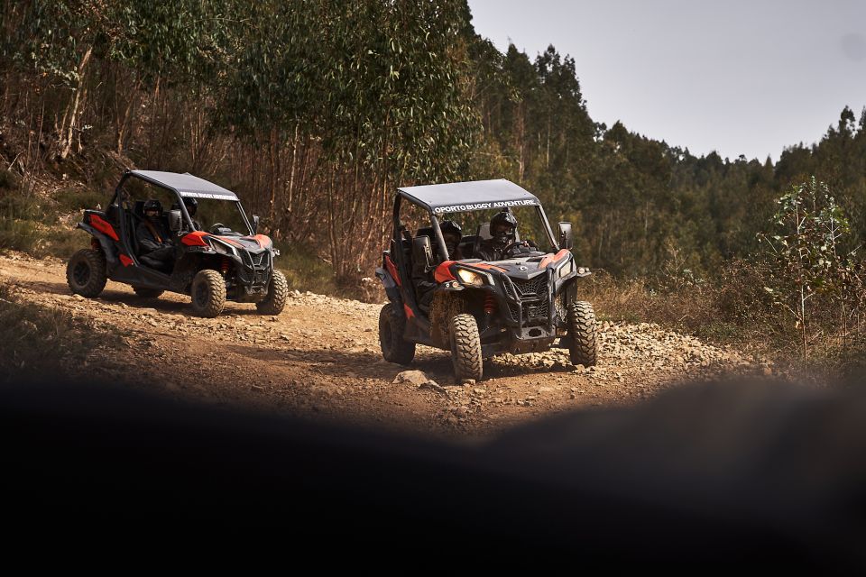 Porto: Extreme Tour by Oporto Buggy - Driving the Buggy