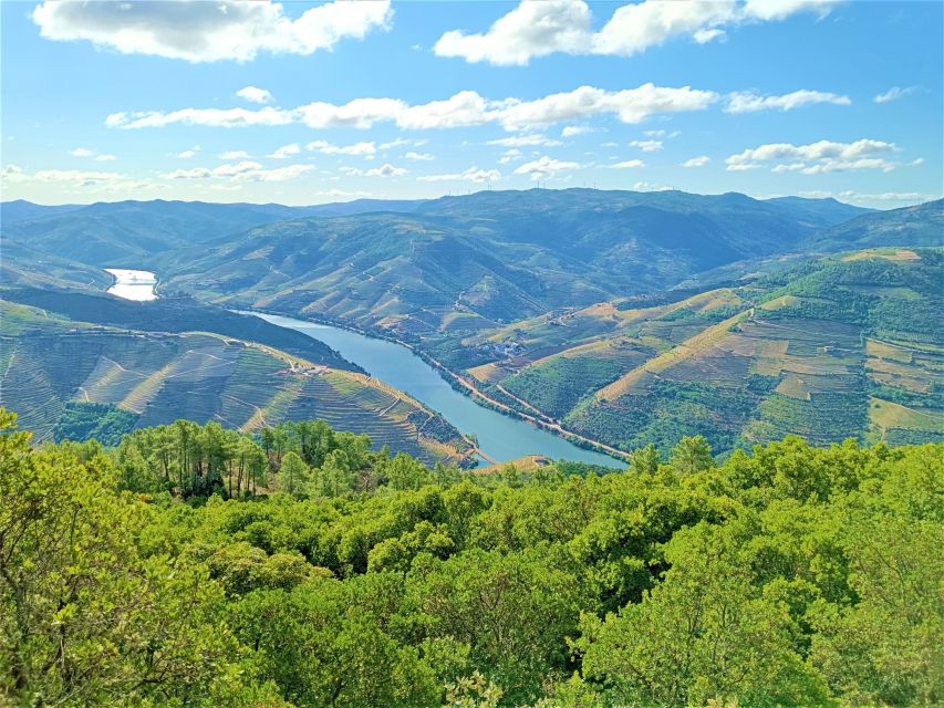 Porto: Private Tour Douro Valley/Winery 18th Century/Boat/Lunch - Inclusions and Exclusions