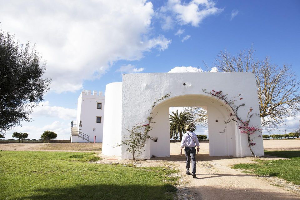 Private Luxury Wine & Food Tour in Alentejo - Inclusions and Amenities