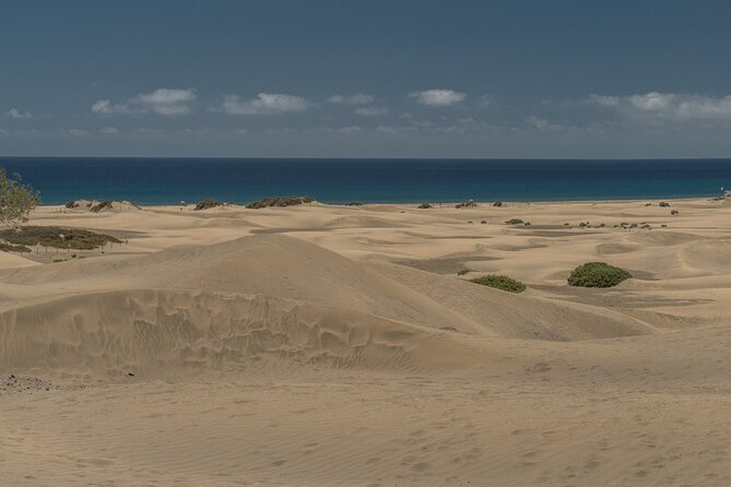 Private Shore Excursion in Gran Canaria the Miniature Continent - Price and Lowest Price Guarantee