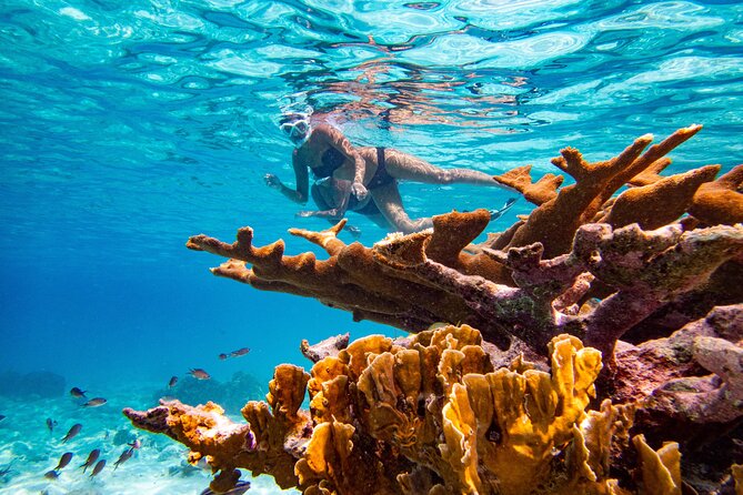 Private Snorkeling Tour Bonaire - Booking and Reservation Information