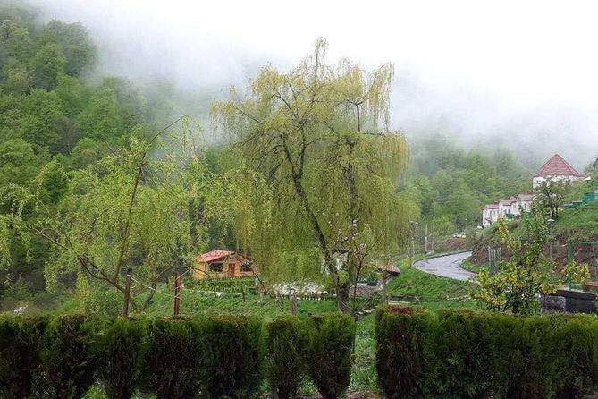 Private Tour: Tsaghkadzor, Lake Sevan, Sevanavank, Dilijan, Haghartsin Monastery - Exploring Tsaghkadzor