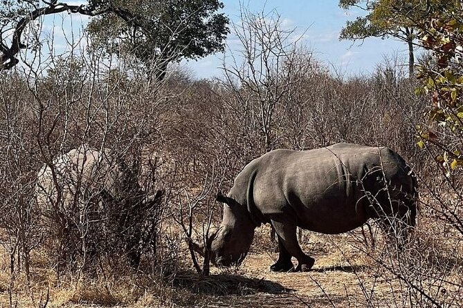 Rhino Walking Safari - Inclusions and Exclusions