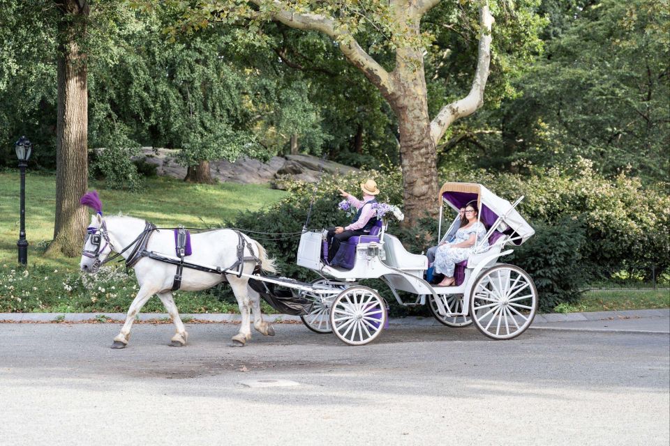 Royal Carriage Ride in Central Park NYC - Duration and Group Size