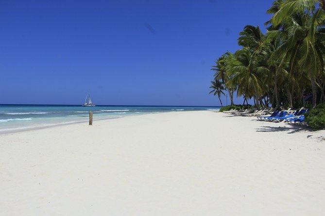 Saona Island Paradise From Punta Cana - Important Considerations