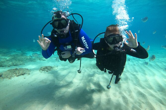 Scuba Diving (Basic Diver - 2 Dives) - Duration and Schedule