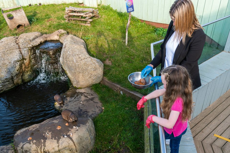 Sea Life Hunstanton - Optimal Visiting Times