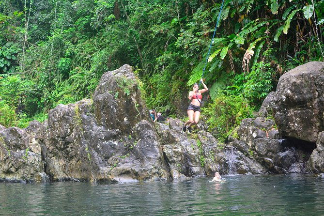 Small-Group El Yunque Rainforest Vivid Day Tour With Transport - Booking and Cancellation