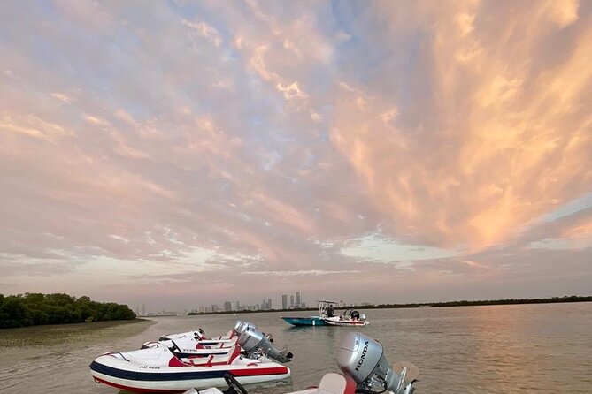 Small-Group Self-Drive Speedboat Tour in Yas Island Mangroves - Tour Highlights