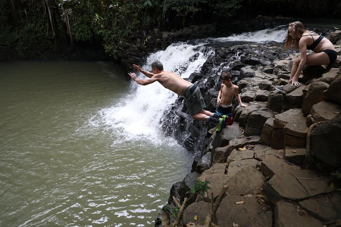 Small Group Waterfall and Rainforest Hiking Adventure on Maui - Discovering Enchanting Waterfalls