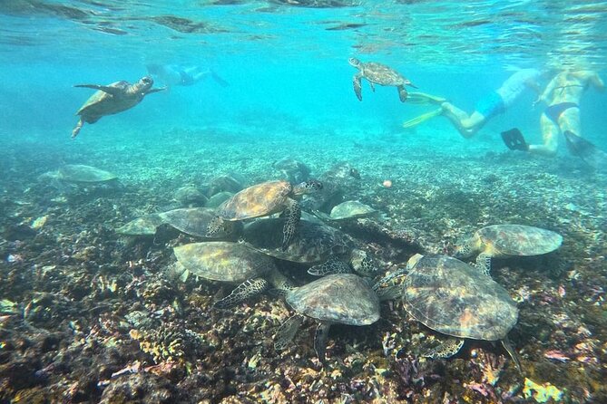 Snorkeling Experience at Ad Daymaniyat Islands in Muscat - Dining and Culinary Offerings