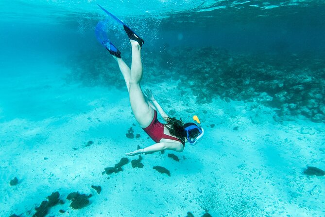 Snorkelling Tours to Daymaniyat Island - Boat Amenities