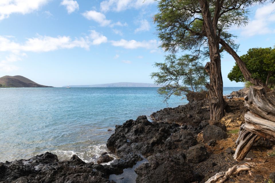 South Maui: Beach Parks Self-Guided Driving Tour - Customer Reviews and Ratings