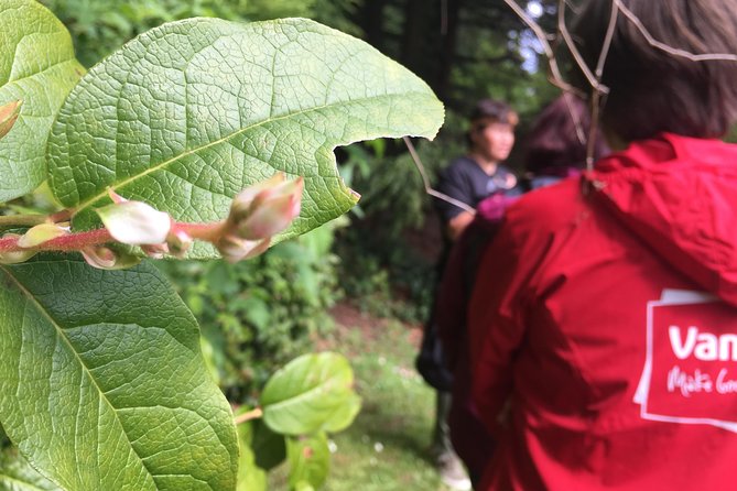 Spoken Treasures: Stanley Park Indigenous Walking Tour - Tour Duration and Accessibility