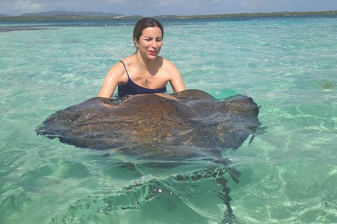 Stingray City Experience Antigua - ONLY TICKET - Tour Operator Details