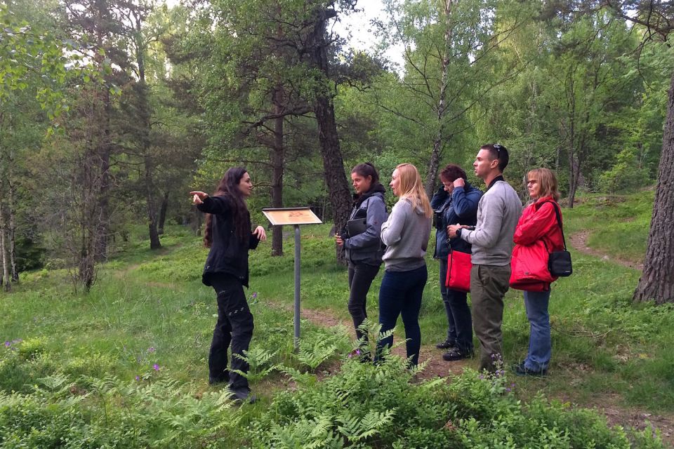 Stockholm: Evening Wildlife Safari With Midsummer Meal - What to Bring